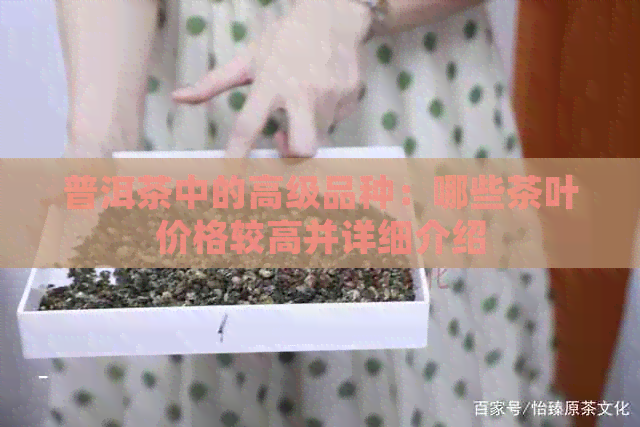 普洱茶中的高级品种：哪些茶叶价格较高并详细介绍