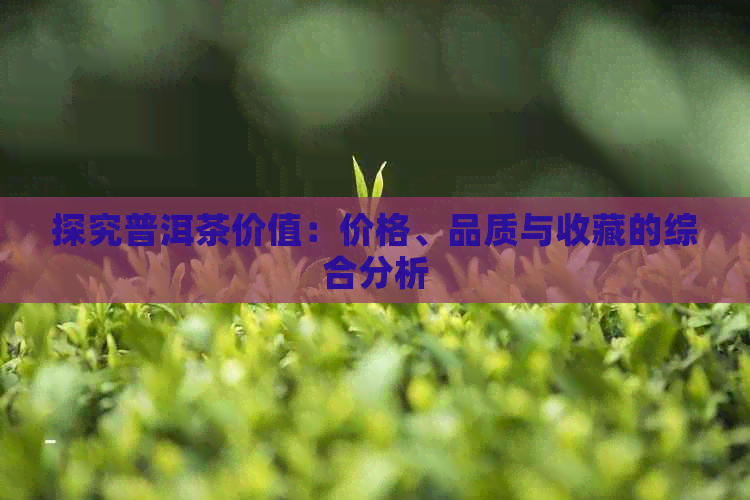 探究普洱茶价值：价格、品质与收藏的综合分析