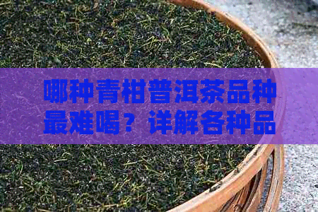 哪种青柑普洱茶品种最难喝？详解各种品种的口感特点及挑选方法