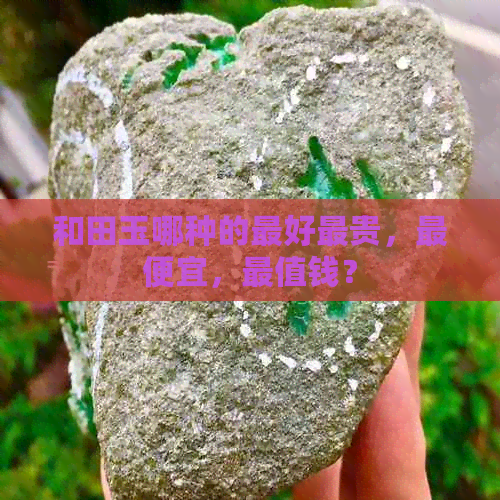 和田玉哪种的更好最贵，更便宜，最值钱？