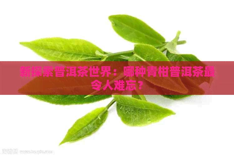 新探索普洱茶世界：哪种青柑普洱茶最令人难忘？