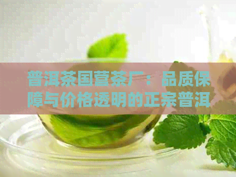 普洱茶国营茶厂：品质保障与价格透明的正宗普洱茶生产厂家