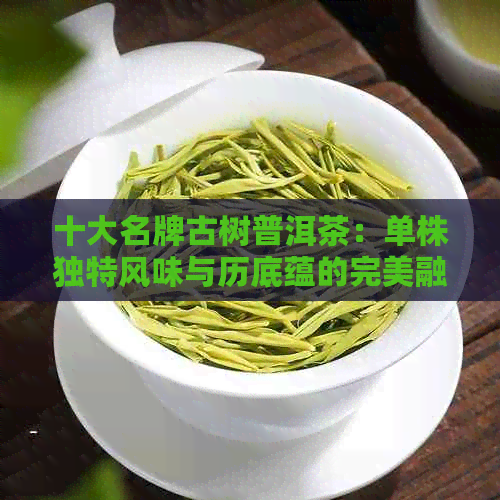 十大名牌古树普洱茶：单株独特风味与历底蕴的完美融合