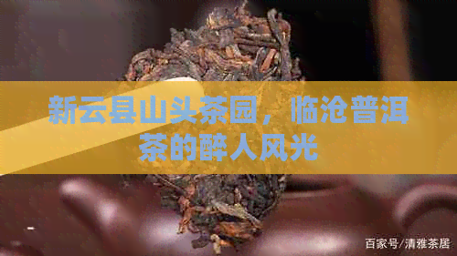 新云县山头茶园，临沧普洱茶的醉人风光