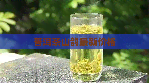 普洱茶山韵最新价格