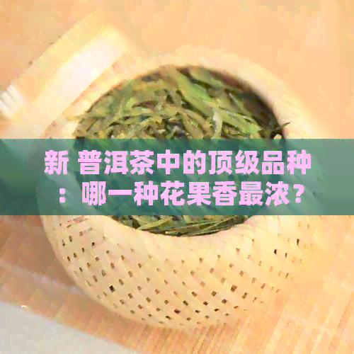 新 普洱茶中的顶级品种：哪一种花果香最浓？