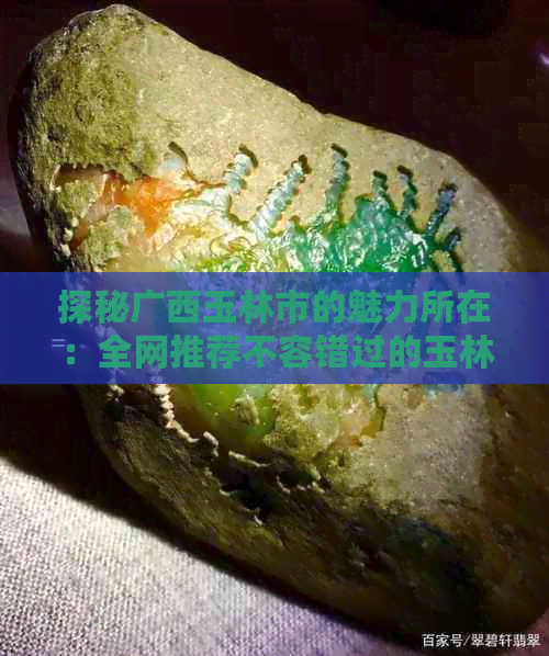 探秘广西玉林市的魅力所在：全网推荐不容错过的玉林哪里