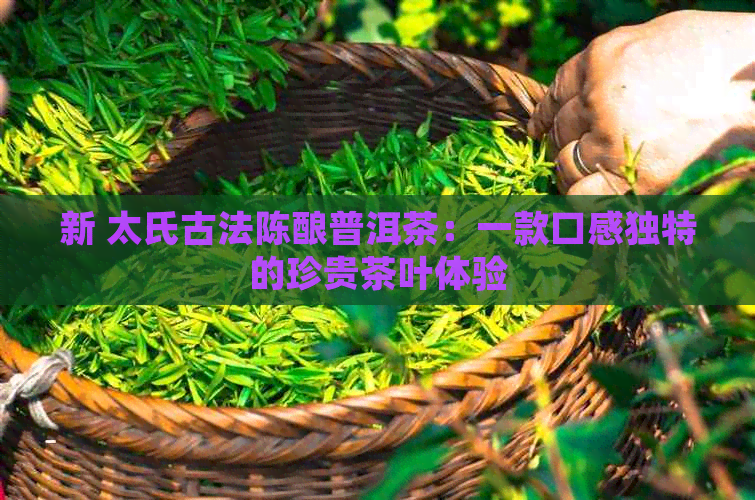 新 太氏古法陈酿普洱茶：一款口感独特的珍贵茶叶体验