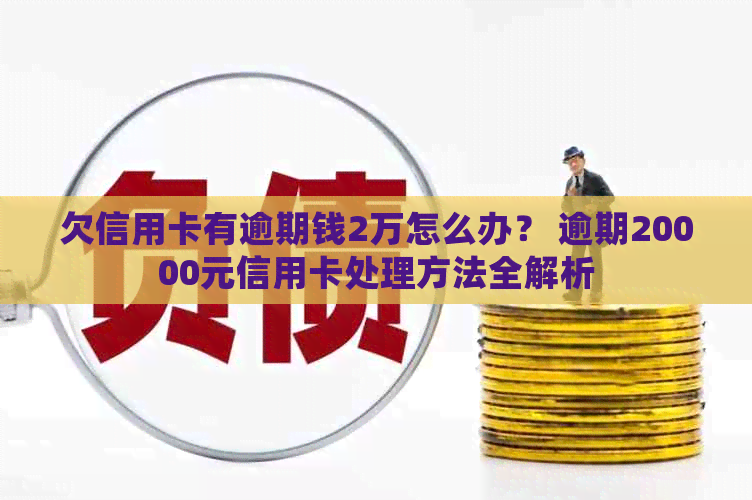 欠信用卡有逾期钱2万怎么办？ 逾期20000元信用卡处理方法全解析