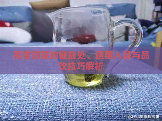 黑普洱茶的健益处、适用人群与品饮技巧解析