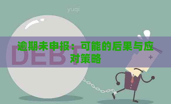 逾期未申报：可能的后果与应对策略