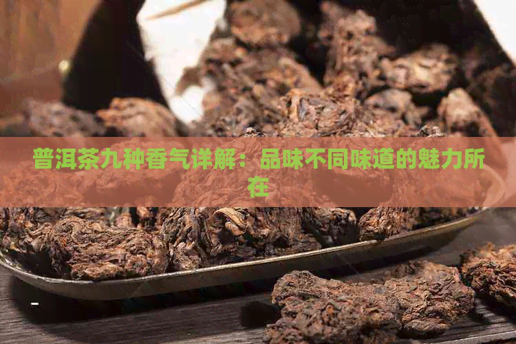 普洱茶九种香气详解：品味不同味道的魅力所在