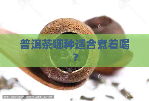 普洱茶哪种适合煮着喝？