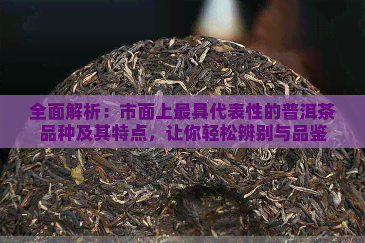 全面解析：市面上更具代表性的普洱茶品种及其特点，让你轻松辨别与品鉴