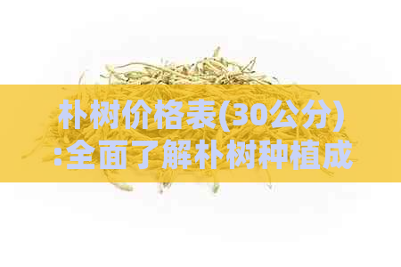 朴树价格表(30公分):全面了解朴树种植成本及市场价格，助您做出明智决策