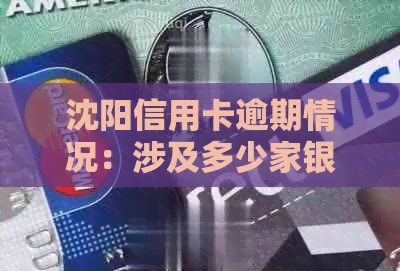 沈阳信用卡逾期情况：涉及多少家银行，是否被起诉，以及放款情况