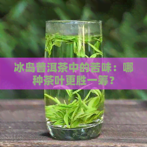 冰岛普洱茶中的苦味：哪种茶叶更胜一筹？