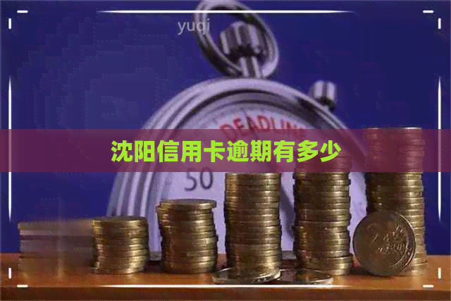 沈阳信用卡逾期有多少