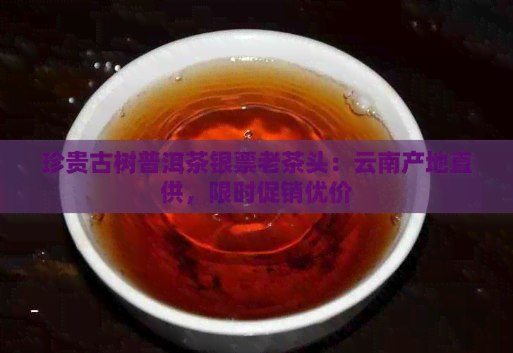 珍贵古树普洱茶银票老茶头：云南产地直供，限时促销优价