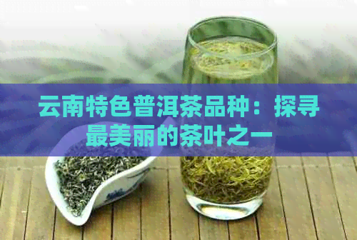 云南特色普洱茶品种：探寻最美丽的茶叶之一