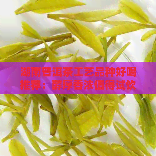 湖南普洱茶工艺品种好喝推荐：醇厚香浓值得试饮