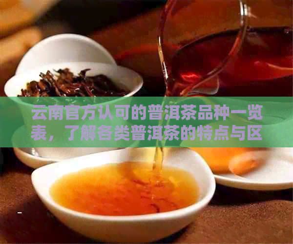 云南官方认可的普洱茶品种一览表，了解各类普洱茶的特点与区别