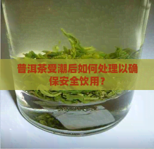 普洱茶受潮后如何处理以确保安全饮用？