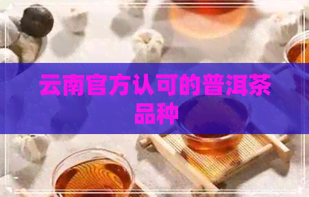 云南官方认可的普洱茶品种