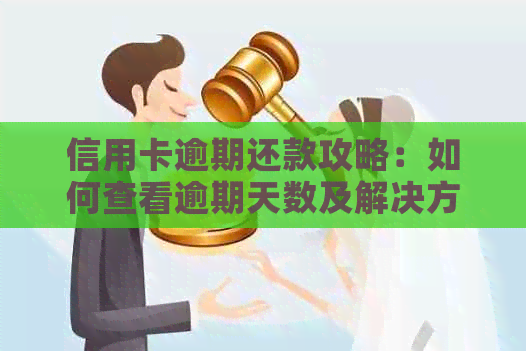 信用卡逾期还款攻略：如何查看逾期天数及解决方法，让你轻松避免逾期困扰