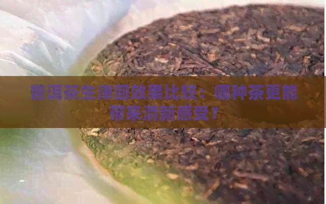 普洱茶生津回效果比较：哪种茶更能带来清新感受？