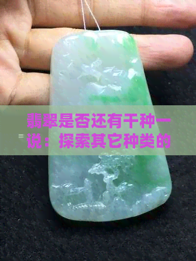 翡翠是否还有干种一说：探索其它种类的可能性