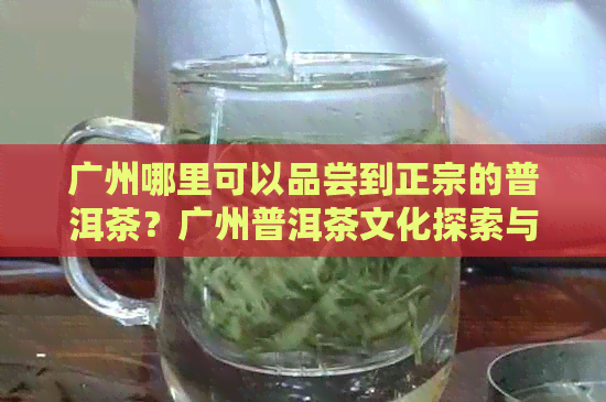 广州哪里可以品尝到正宗的普洱茶？广州普洱茶文化探索与推荐