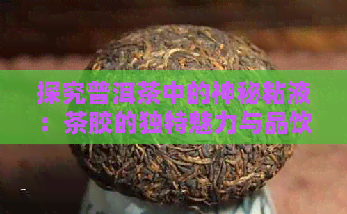 探究普洱茶中的神秘粘液：茶胶的独特魅力与品饮方法