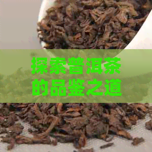 探索普洱茶的品鉴之道：从原料到口感，了解更高境界的品茶技巧