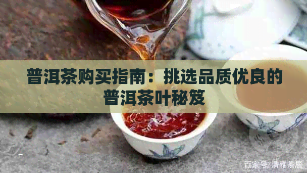 普洱茶购买指南：挑选品质优良的普洱茶叶秘笈