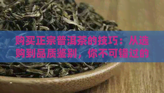 购买正宗普洱茶的技巧：从选购到品质鉴别，你不可错过的经验！