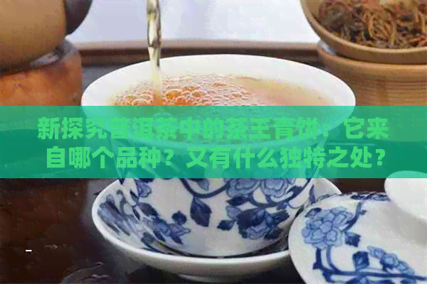 新探究普洱茶中的茶王青饼：它来自哪个品种？又有什么独特之处？