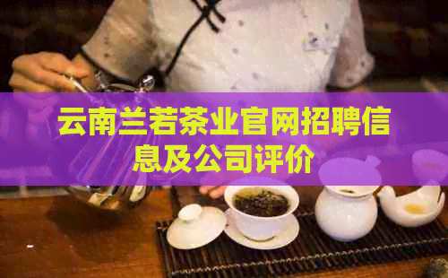 云南兰若茶业官网招聘信息及公司评价