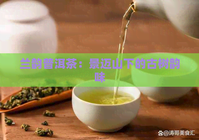 兰韵普洱茶：景迈山下的古树韵味