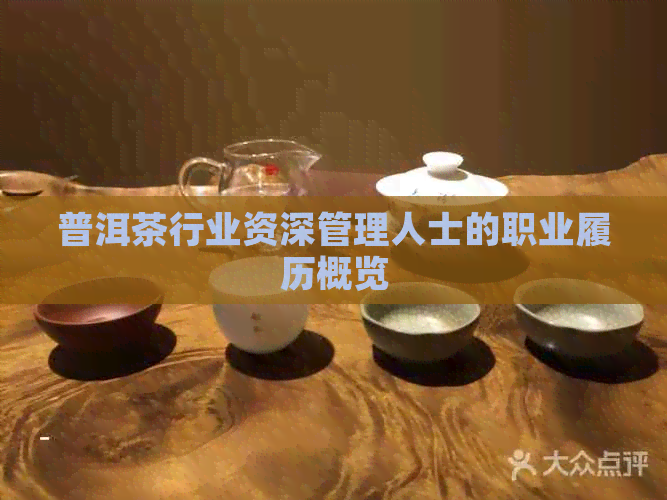 普洱茶行业资深管理人士的职业履历概览