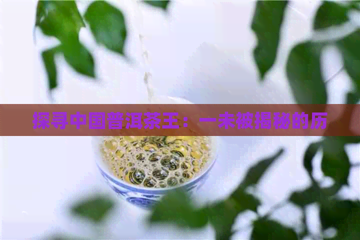 探寻中国普洱茶王：一未被揭秘的历