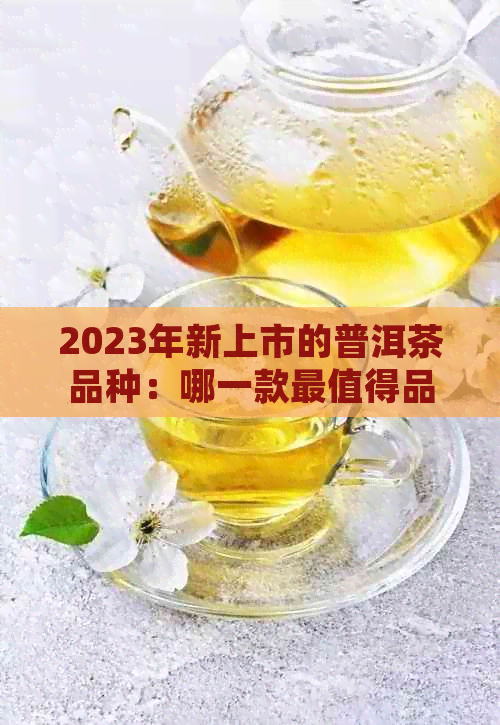 2023年新上市的普洱茶品种：哪一款最值得品鉴？