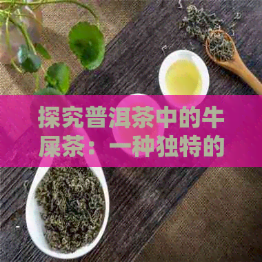 探究普洱茶中的牛屎茶：一种独特的茶叶文化体验