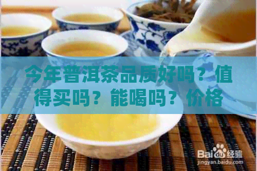 今年普洱茶品质好吗？值得买吗？能喝吗？价格比去年怎么样？有没有升价？