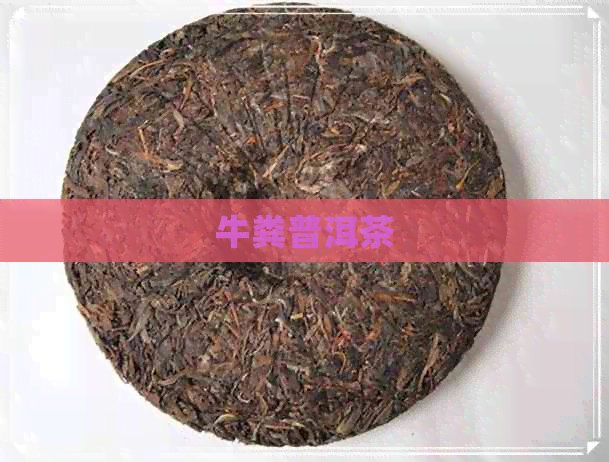 牛粪普洱茶