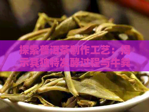 探索普洱茶制作工艺：揭示其独特发酵过程与牛粪的关系