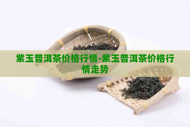 紫玉普洱茶价格行情-紫玉普洱茶价格行情走势