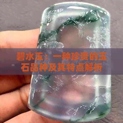 碧水玉：一种珍贵的玉石品种及其特点解析