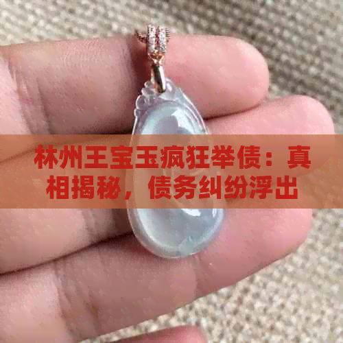 林州王宝玉疯狂举债：真相揭秘，债务纠纷浮出水面