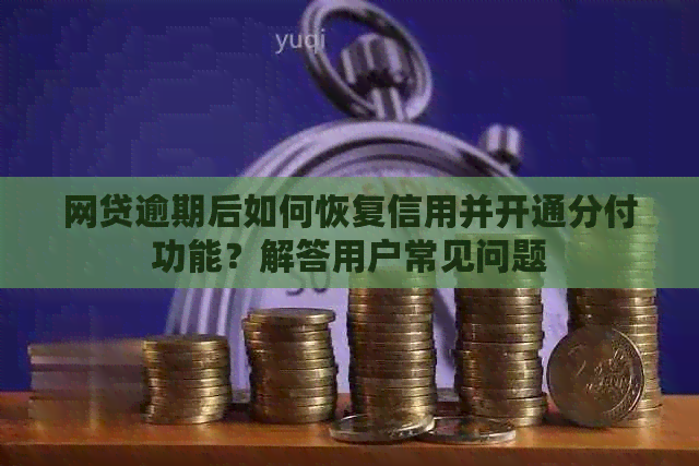 网贷逾期后如何恢复信用并开通分付功能？解答用户常见问题